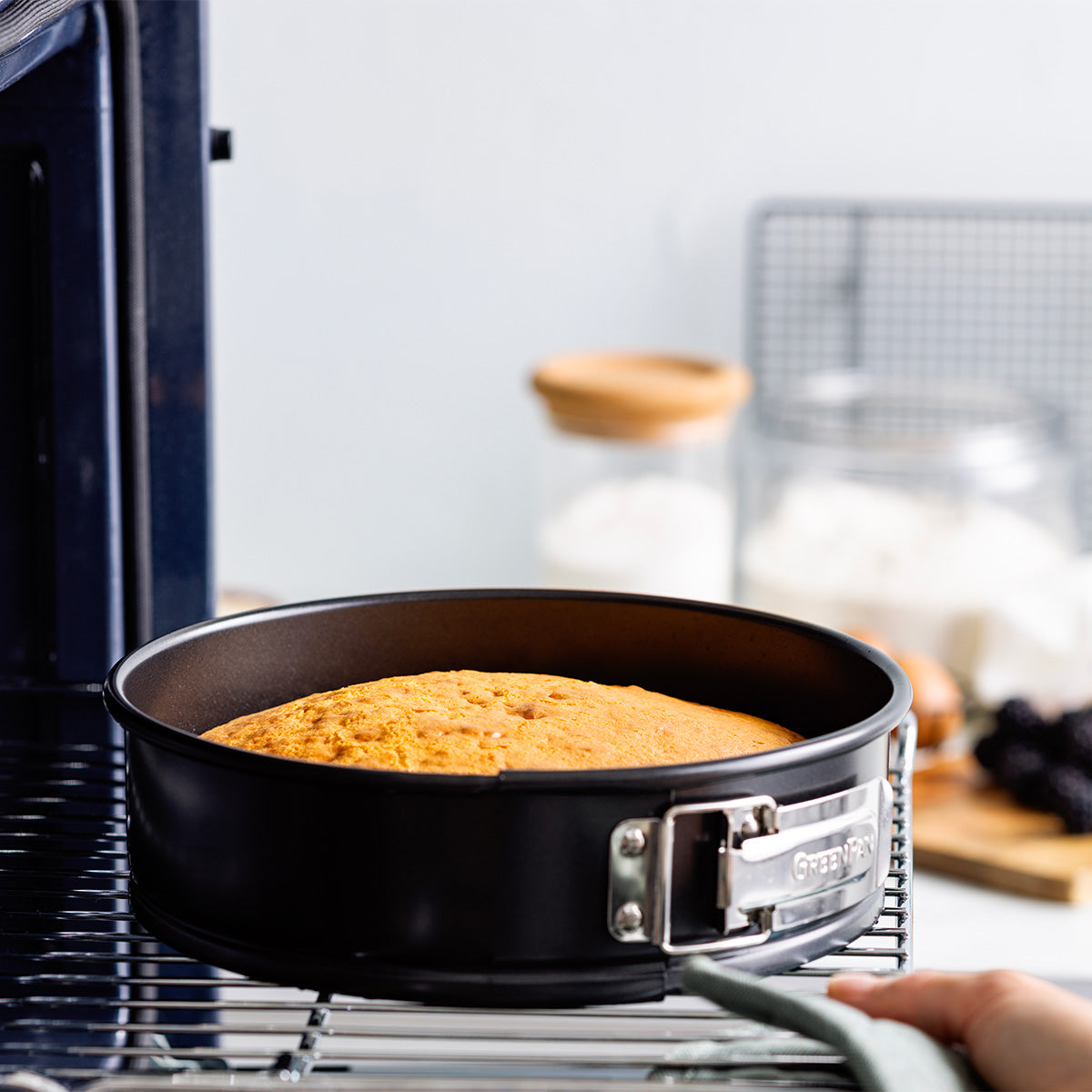 Bistro Carbon Steel 20 cm Springform Pan