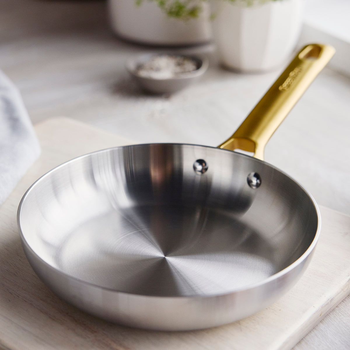 Reserve Stainless 20cm and 28cm Frypan Set